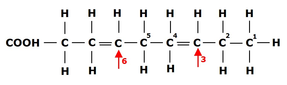 Структура химических связей атомов углерода Омега жирных полинасыщенных кислот